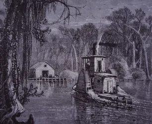 Scena delle Everglades della Florida