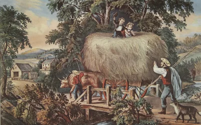 Tempo di fieno - L