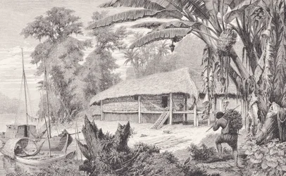 Casa di un ricco raccoglitore di gomma, da 