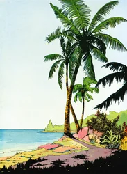 Illustrazione di un paradiso sulla spiaggia con palme