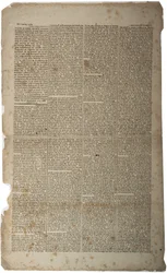 Libertà di parola e di stampa, gennaio 1799