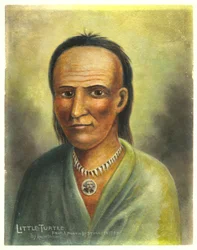 Piccola Tartaruga