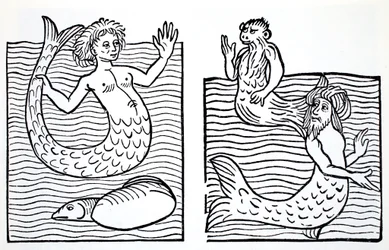 Sirene e Tritoni, da La guida mondiale a gnomi, fate, elfi e altri piccoli esseri di Thomas Keightley, pubblicato nel 1880