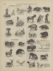 Pagina tratta dal Dizionario completo di Webster (George Bell