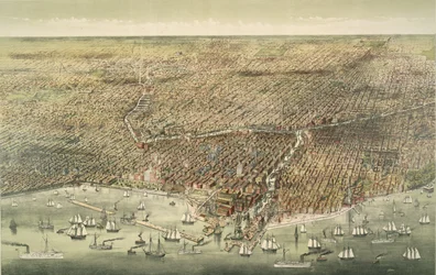 Veduta panoramica della città di Chicago, pub. 1892 (litografia a colori)