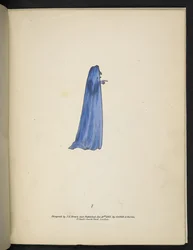 Tavola 7. Un fantasma in blu. Spectropia; o, Sorprendenti illusioni spettrali che mostrano fantasmi ovunque, e di qualsiasi colore, ecc. ser. 1. J.H. Brown 1864