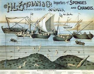Poster pubblicitario di H.L. Ettman & Co., Importatori di spugne e camosci, 1897