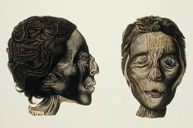 Profilo e volto di una mummia femminile da Giza, Volume II, tavola XXVII da Ancient Egypt di Samuel Augustus Binion, pubblicato 1887