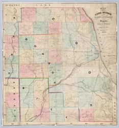 Mappa di Rees delle contee di Cook e DuPage