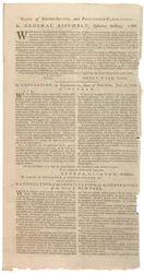 Risoluzioni che stampano la proposta di emendamenti alla Costituzione dello Stato di New York, ottobre 1788
