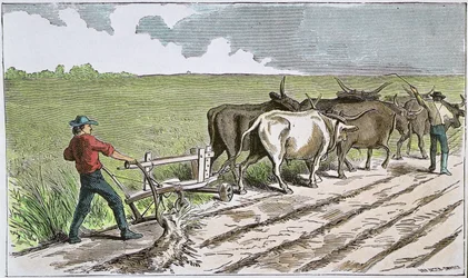 Coloni del West americano, c.1880 (incisione colorata)