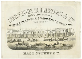 Stephen D. Barnes & Co. Coltivatori di ostriche e grossisti, deposito n. 4 foot of Broome Street
