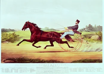Il celebre cavallo, George M. Patchen, il campione del turf, inciso da Nathaniel Currier e James Merritt Ives, 1860