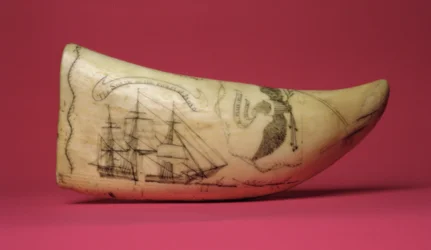 La Susan sulla costa del Giappone Scrimshaw (dente)