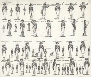 Manuale delle armi degli Stati Uniti