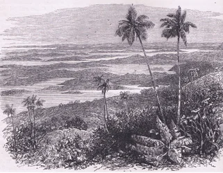 Veduta delle Bermuda, illustrazione da Cassell
