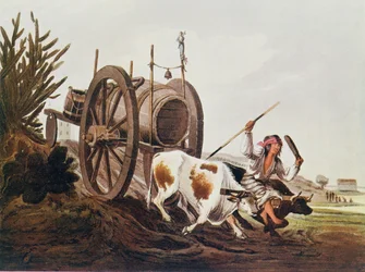 Carro dell