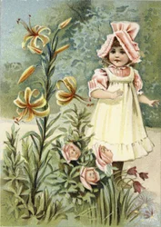 Possiamo parlare, disse il giglio-tigre