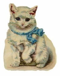Gatto bianco con fiocco blu