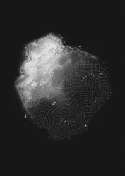 Rete Nebulosa Stellata