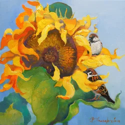 Passeri del girasole dorati