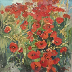 Campo di papaveri d