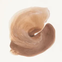 Marro biologico a spirale