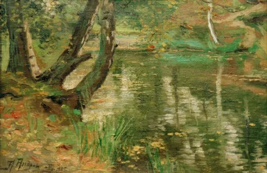 Paesaggio fluviale estivo con alberi