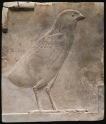 Targa raffigurante un pulcino di quaglia