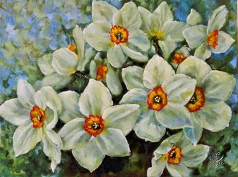 Narcisi in fiore