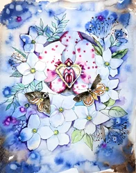 Farfalle orchidea da sogno