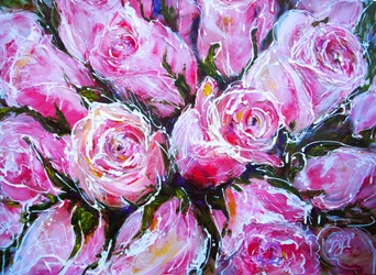 Rose rosa vivaci