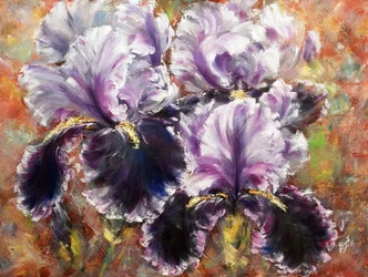 Iris viola dai colori vivaci