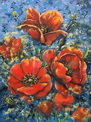 Papaveri rosso vivo