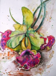 Orchidea dai vivaci colori ad acquerello