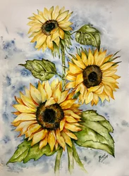 Girasoli vivaci ad acquerello