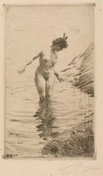 Cerchi d