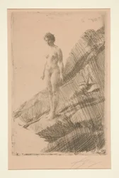 Edo