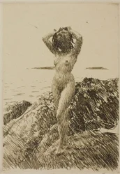 Hårtång (Ghirlanda di alghe)