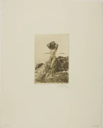 Corona di alghe marine