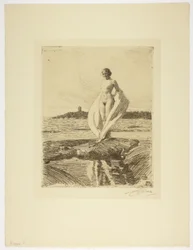 Il cigno