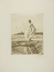 Il Cigno