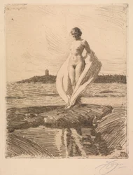 Il Cigno