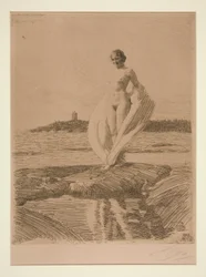 Il cigno