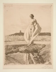 Il cigno