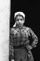 BAMBINO ADOLESCENTE RACCOGLITRICE DI OLIVE