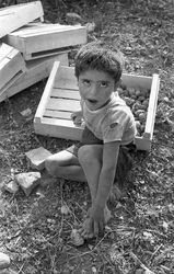UVA AMARA - BAMBINO AL LAVORO