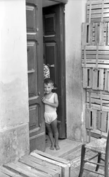 UVA AMARA - IL BAMBINO SULLA PORTA