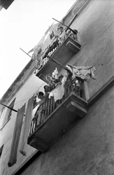 CROTONE