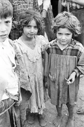 Bambini in attesa di essere impiegati come raccoglitori di noci a Qualiano, Napoli, Campania, Italia